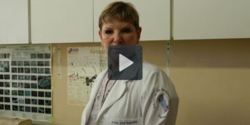 Entrevista com a Dra. Vera Szejnfeld