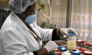 Primeiro Banco de Leite Humano completa 70 anos