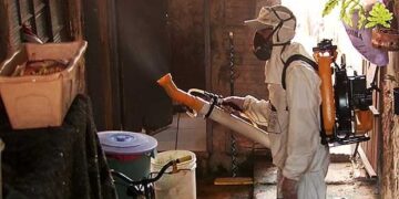 Estudo adverte sobre risco de casos de dengue durante a Copa de 2014