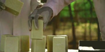 Estudantes criam sabonete capaz de repelir o mosquito da malária