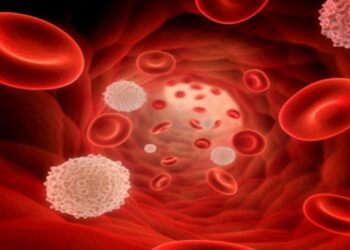 Acúmulo de ferro no corpo pode provocar danos aos órgãos