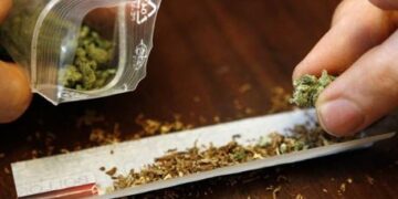 Legalização da maconha: a quem interessa?