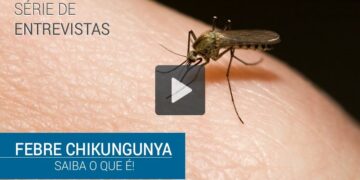 Febre Chikungunya – saiba o que é!