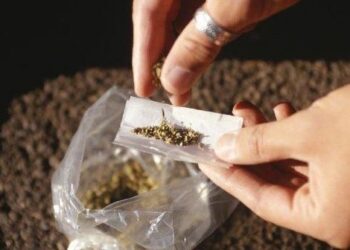 Maconha e ‘novas’ psicoses