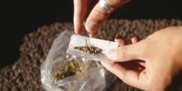 Maconha e ‘novas’ psicoses