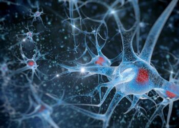 Estímulo cerebral antes dos três anos é crucial para o desenvolvimento da aprendizagem