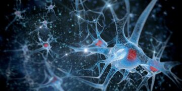 Estímulo cerebral antes dos três anos é crucial para o desenvolvimento da aprendizagem