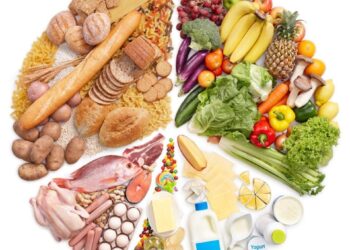 Alimentação saudável para todos: siga os dez passos!