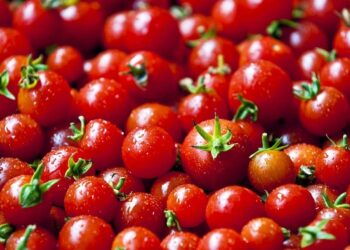 Alimentos do Bem – Tomate