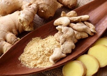 Alimentos do Bem – Gengibre