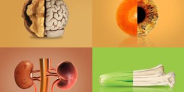 Parece mas é. Entenda a relação do formato dos alimentos com o seu corpo