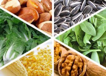 Veja quais alimentos fortalecem o sistema imunológico