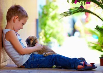 Criança e animais: muito mais que uma relação de carinho