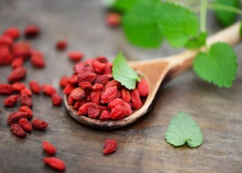 As mil e uma facetas do Gojiberry