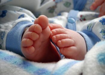 Um embrião, uma gravidez