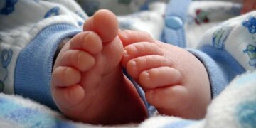 Um embrião, uma gravidez