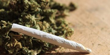 FHC, o STF e o alerta das opiniões equivocadas sobre drogas