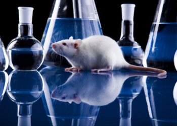 A importância do uso de animais na prática médica