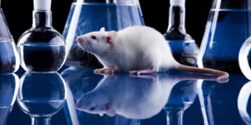 A importância do uso de animais na prática médica