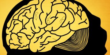 O que é a doença de Alzheimer – Portuguese