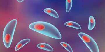 Toxoplasmose – saiba o que é e como evitar