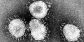 Coronavírus: saiba tudo sobre o novo alerta mundial