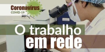 Coronavírus: trabalho em rede