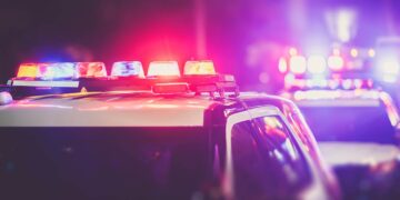 Desorganizando o Crime