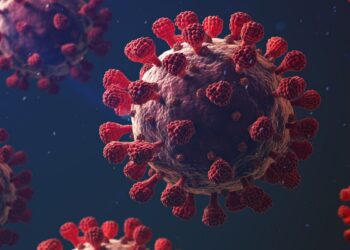 Nova onda de Covid-19 exige cuidados redobrados