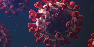 Nova onda de Covid-19 exige cuidados redobrados