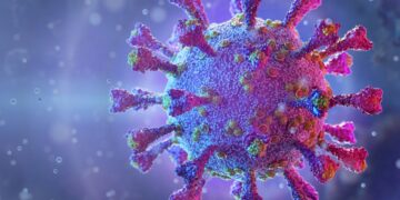 Período pós-covid-19 exige acompanhamento multiprofissional