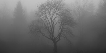 Como lidar com o luto coletivo causado pela pandemia