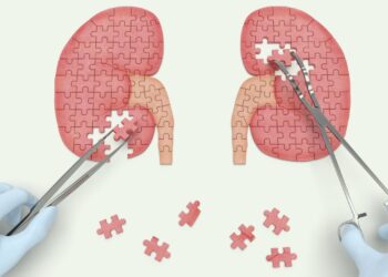 Clinical Impact, Reactogenicity, and Immunogenicity After the First CoronaVac Dose in Kidney Transplant Recipients