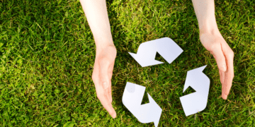 O papel da educação ambiental na preservação do meio ambiente