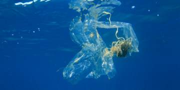 Poluição dos oceanos – principais consequências