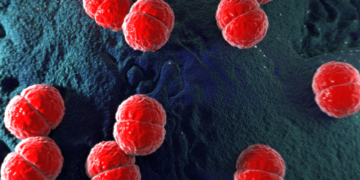 Surto de meningite em SP preocupa autoridades sanitárias