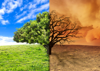 Fenômenos Climáticos Extremos e suas consequências