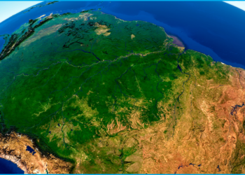 Floresta Amazônica – patrimônio ambiental do Brasil