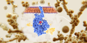 Candida auris – nova ameaça à saúde global