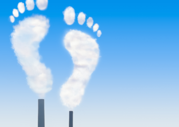 Você sabe o que significa “Pegada de carbono”?