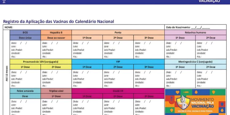 exemplar de caderneta de vacinação
