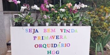 Hospital Geral de Guarulhos planta 60 orquídeas e 7 árvores no terreno da unidade
