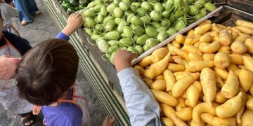 Hospital São Paulo vai fornecer alimentos da agricultura familiar a pacientes do SUS