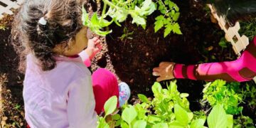 CEIs gerenciados pela SPDM participam de iniciativa de alimentação orgânica e sustentabilidade da Secretaria Municipal de Educação de São Paulo