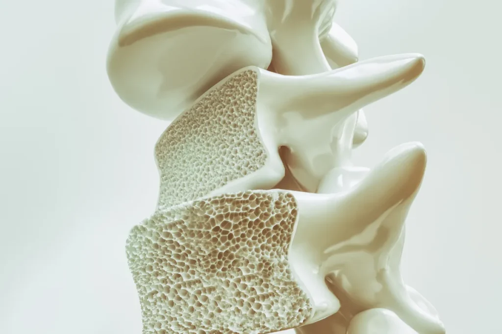 |coluna pain
