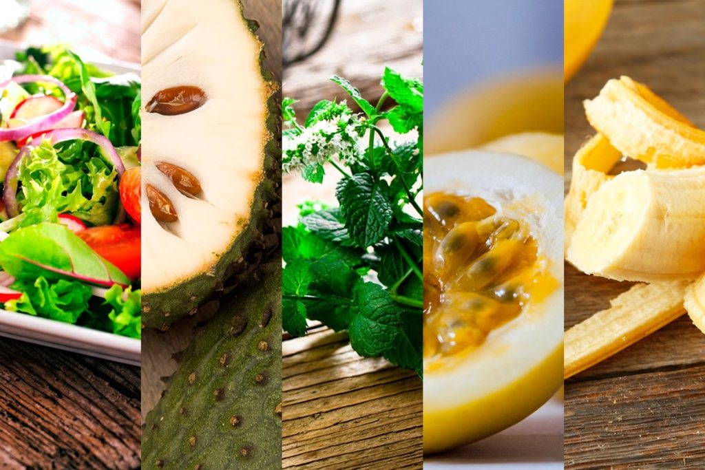 |Alface 15022017|Graviola 15022017|Hortela 15022017|Maracuja 15022017|Banana 15022017