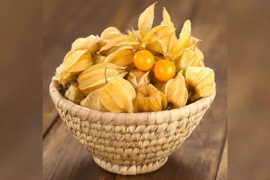 physalis