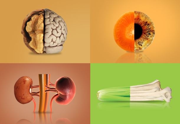 |batata doce v3|rins e feij o|abacateutero|aipossos|cenouraolhos|uvacore|nozcerebro