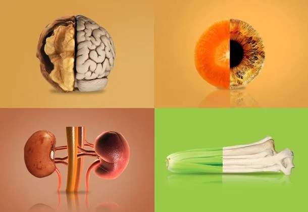 |batata doce v3|rins e feij o|abacateutero|aipossos|cenouraolhos|uvacore|nozcerebro