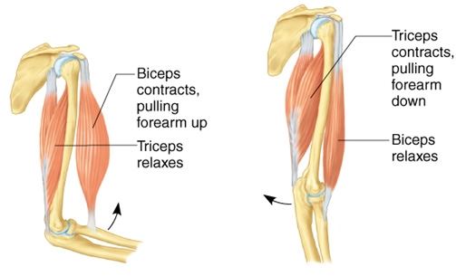 |along 2|along 3|along 4|along 5